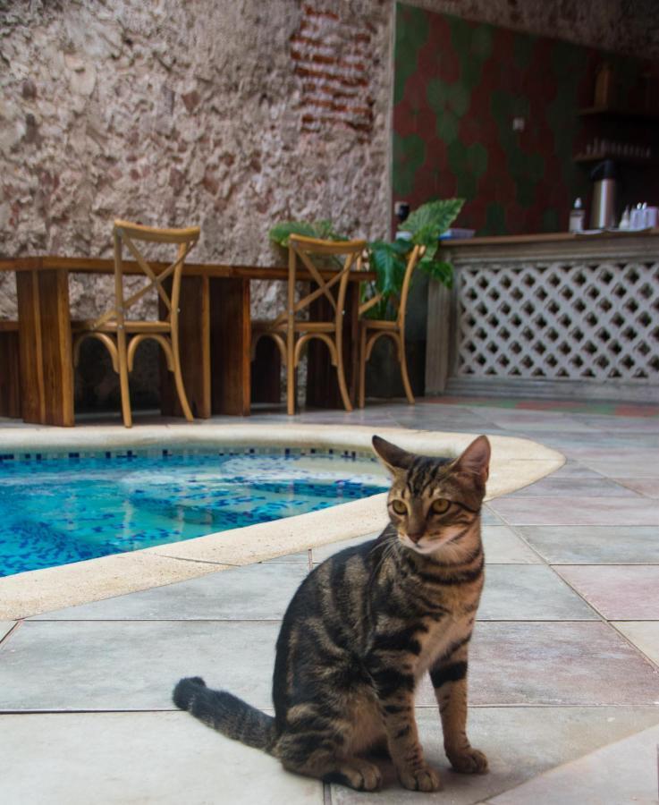 Casa Zahri Boutique Hostel Cartagena 외부 사진